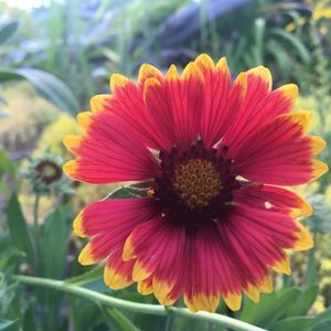 Meet your Posher, Brooklyn